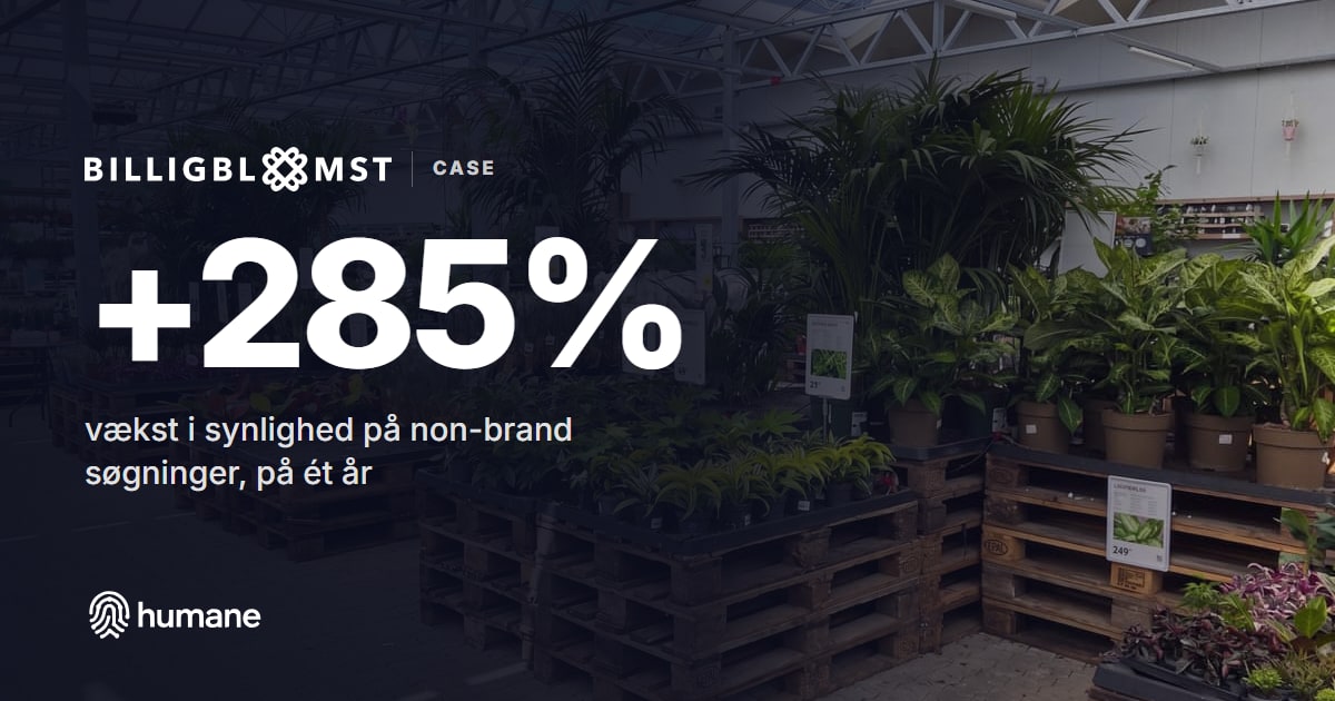 Billigblomst: fra side 4 til side 1 i Google